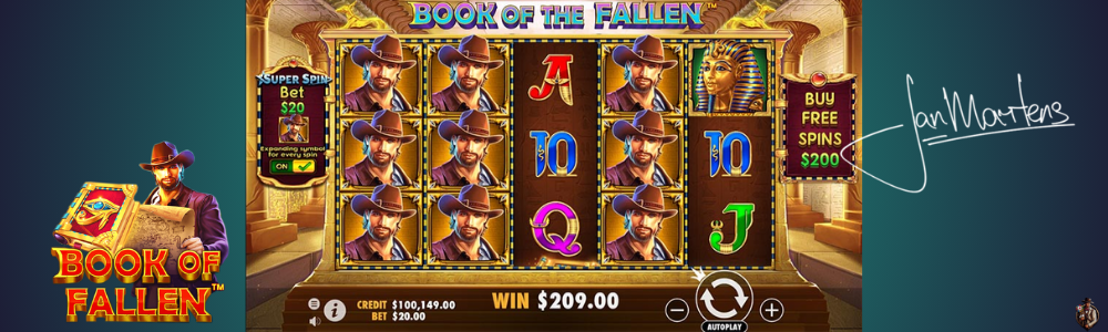 Book of The Fallen spelen